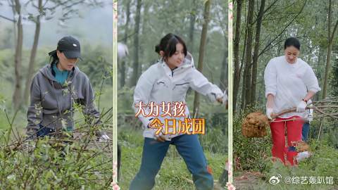 黄磊把张子枫当男孩养，19岁就领到地里搬树，那英：厉害！
