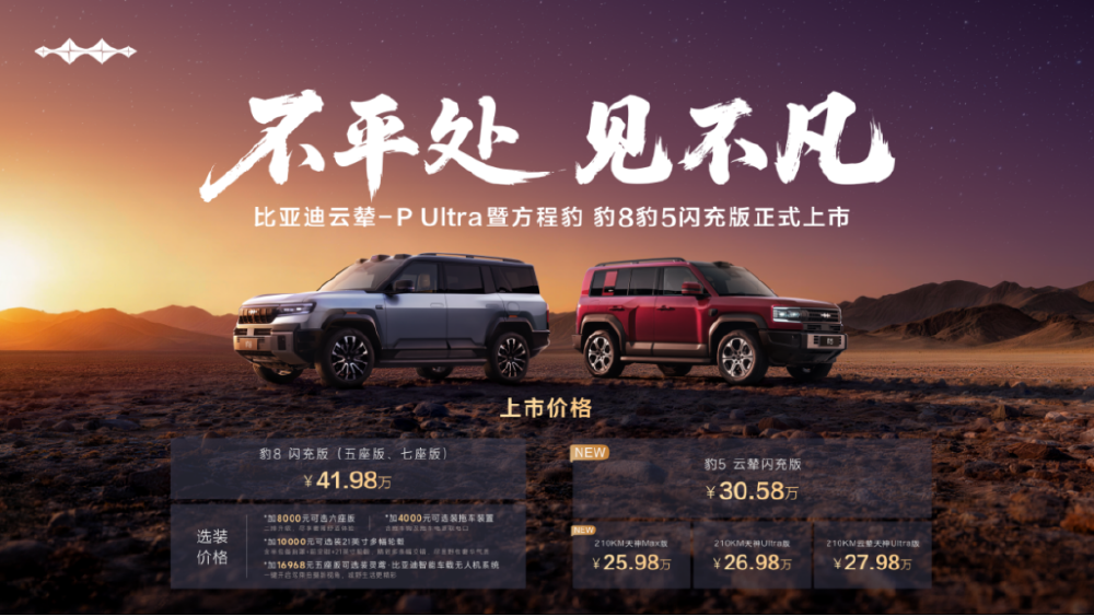 3个轮能开,3分钟换胎!方程豹豹系列闪充登场-重庆