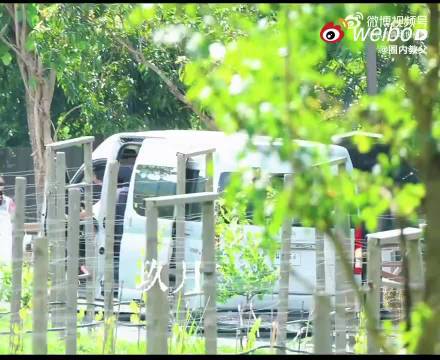 王俊凯蓝色牛仔造型亮相中餐厅上班路透