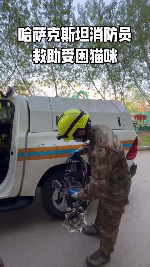 阿斯塔纳救援人员从树上救下两只猫咪