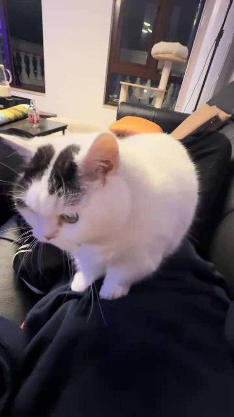 李明磊好萌呀