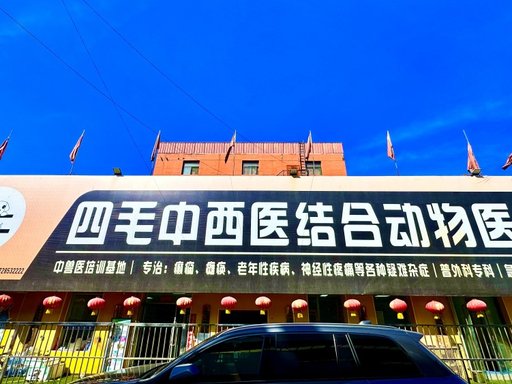 万柏林区四毛宠物医院：一站式健康服务的手选之地