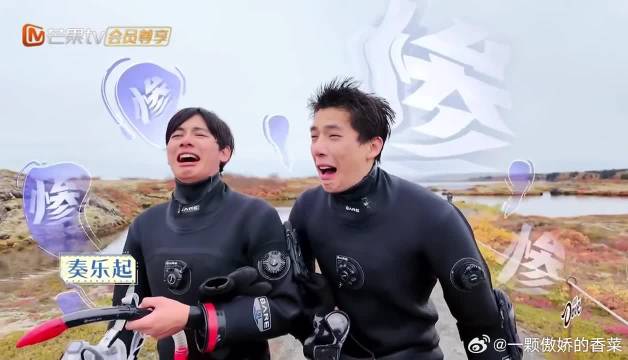 胡先煦王安宇这俩人哭的我笑喷了