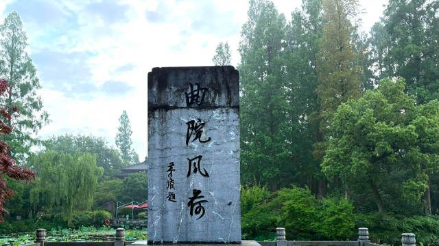 西湖曲院风荷的偶遇