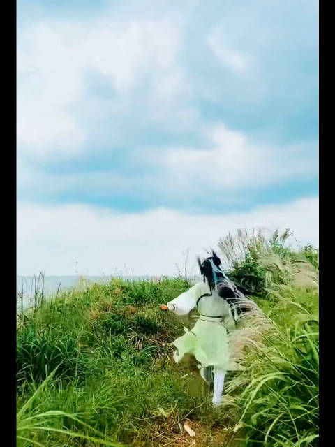 黄蓉：靖哥哥，你过来呀…… 追上蓉儿的郭靖：我要一剑攮死你