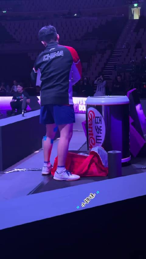 林诗栋带伤连轴参赛保中国男乒种子位