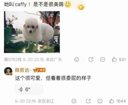 我不行了也是梦幻联动了，陈哲远说陈奕恒的狗很可爱