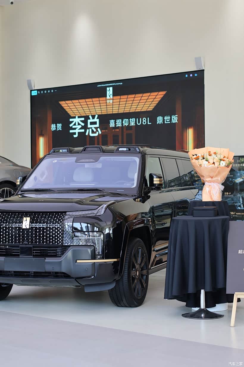 仰望U8L一万公里使用感受