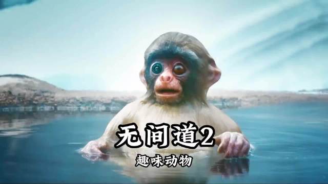 《残缺版续集》当摄像机披上马甲，你才晓得他们无间道玩的多溜