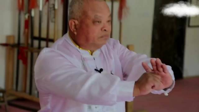 67岁老拳师曾显权演练的永春白鹤拳