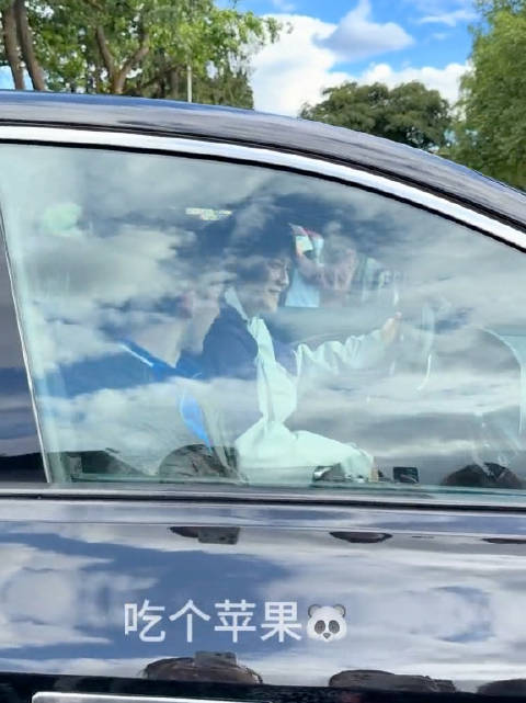 看了n遍哈特软软，谢谢你振东 @樊振东 cr.吃个苹果