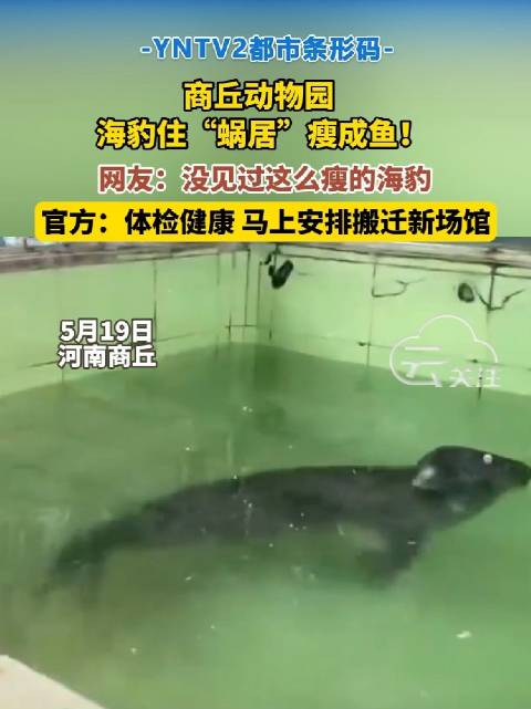 商丘动物园 海豹住“蜗居”瘦成鱼 网友：没见过这么瘦的海豹 官方：体检健康 马上安排搬迁新场馆
