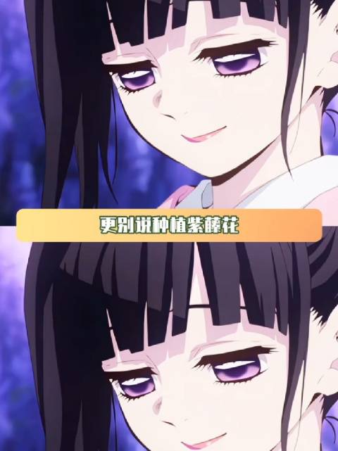鬼灭的紫藤花 主公的家族底蕴 鬼灭之刃 紫藤花 行冥屿悲鸣