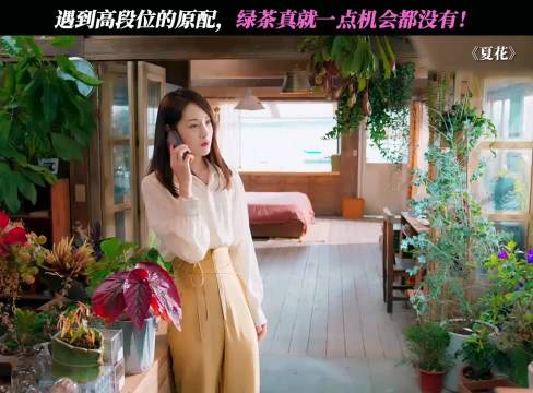 绿茶：我自闭了！