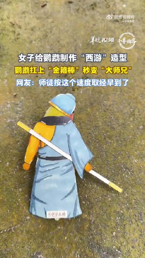 女子给鹦鹉做西游记角色服装造型