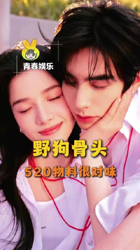 夏威仪你们赢了宋威龙 张婧仪