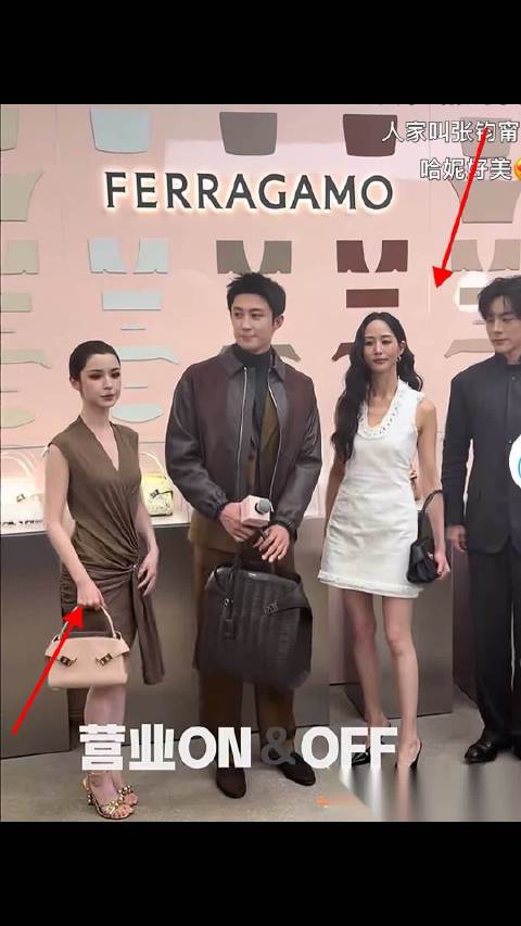 哈尼克孜与张钧甯同台比美，身高妆容引对比