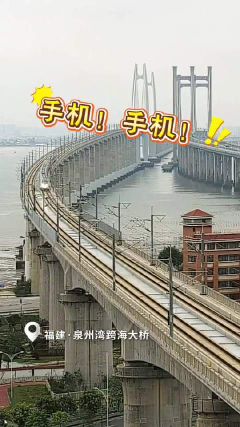 福厦高铁泉州湾跨海大桥上演列车汽车竞速