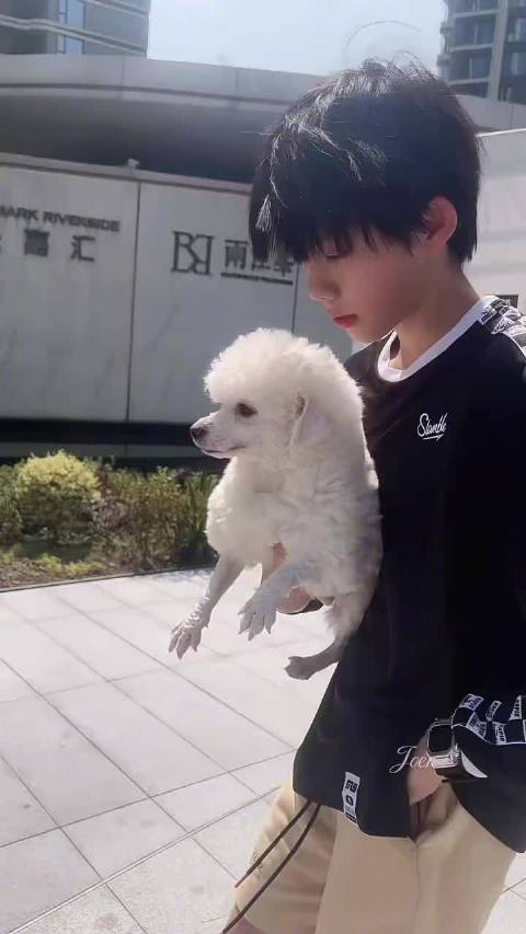 少年与狗狗 温柔具象化 是喜欢小动物也招小动物喜欢的陈奕恒