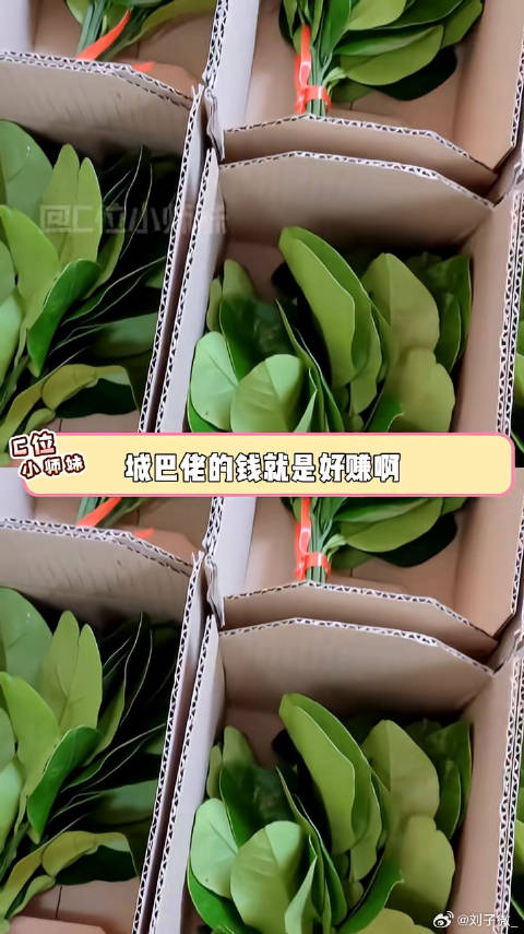 赵露思带货柚子叶引热议