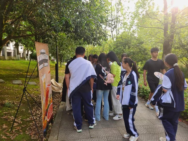 贵州湄潭：茶香满城