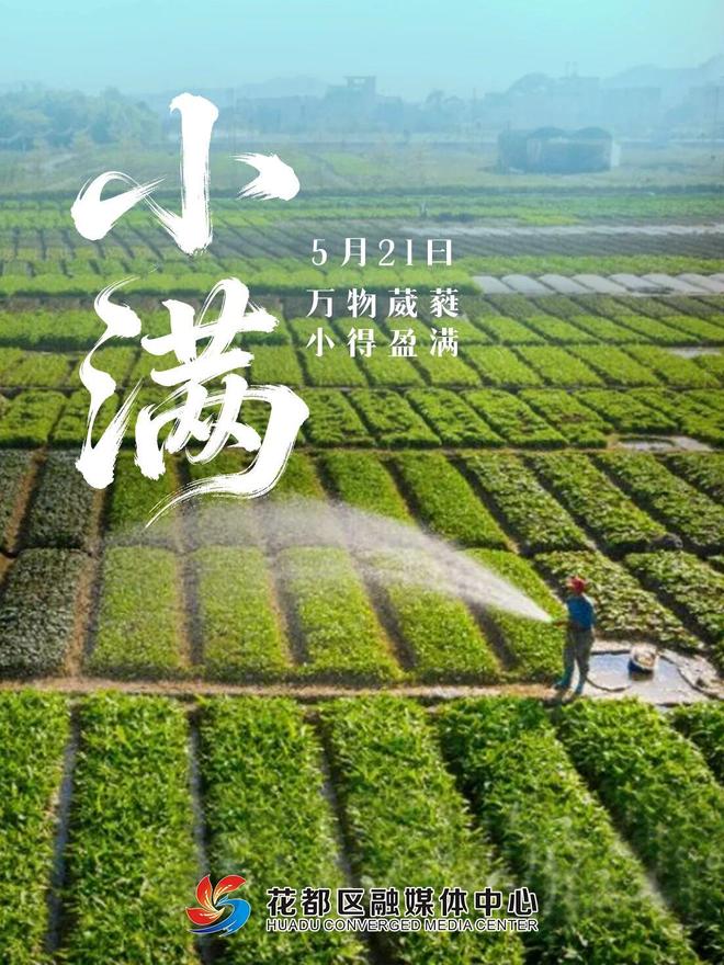 小满 | 万物葳蕤 小得盈满