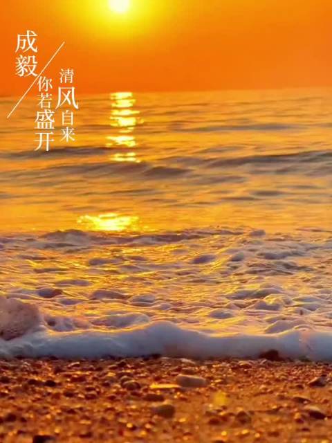 《当幸福来敲门》励志台词：有梦想就要捍卫它