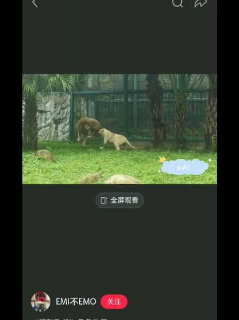 乔乔被阿行叼回来的蛇吓一跳，大概是这样吧！好搞笑！