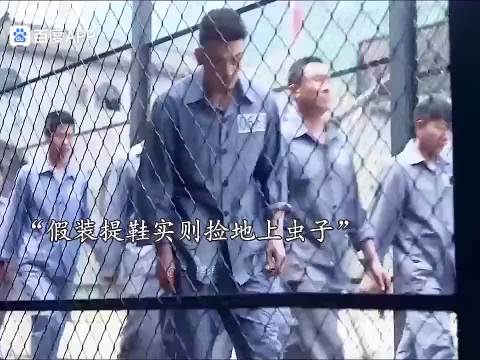 天才囚犯有多牛，看他如何仅凭一只虫子成功完成越狱！
