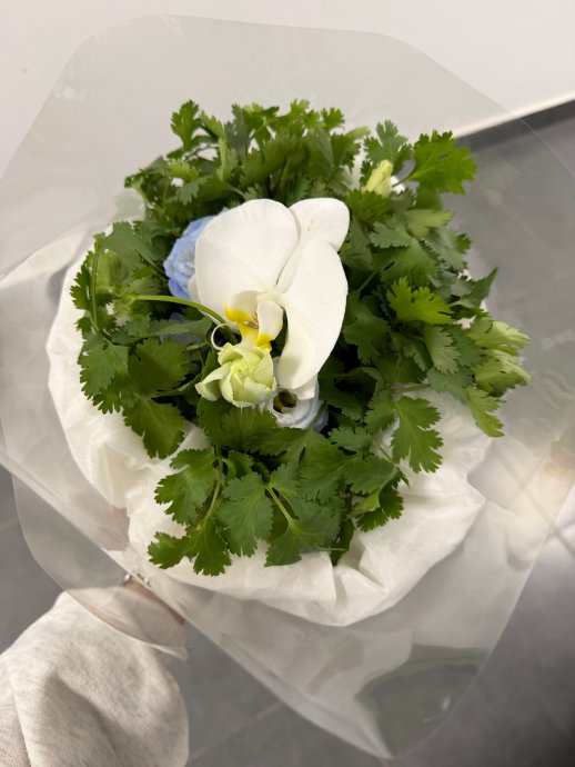 杨超越综艺录制收香菜花束，粉丝赞贴心