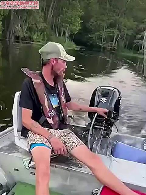 宁静的午后气氛被一只鱼打乱了