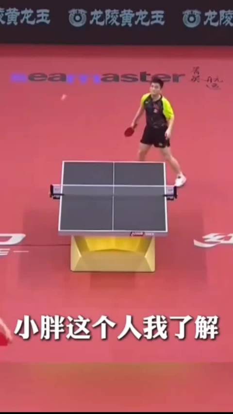 张继科评樊振东，0:6后练得更狠眼神更凶