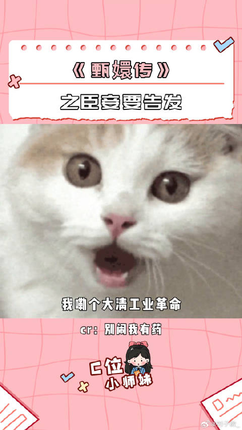 甄嬛：你啰嗦了甄嬛看了也得愣两秒 甄嬛传十级观众 万万没想到 娱乐评论大赏