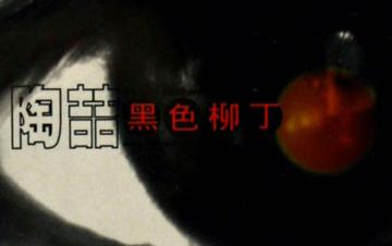 黑色柳丁[2002年陶喆发行专辑]