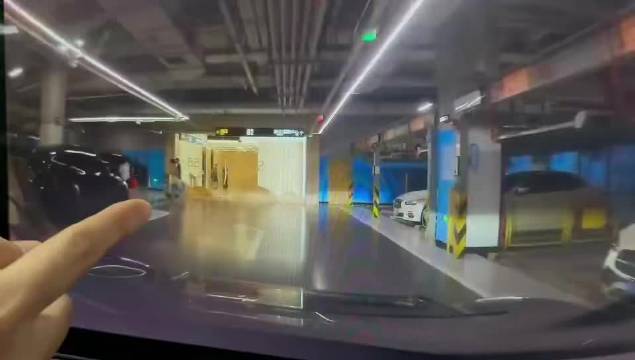 高迪大美爱犬车库遭碾身亡，车主全责需等保险处理