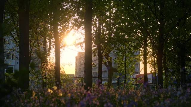 河北科技大学夏日晚霞治愈校园