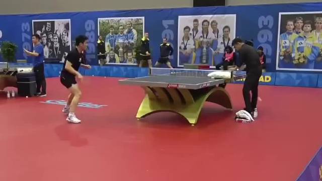 樊振东德国训练引热议，协会未安排专职陪练