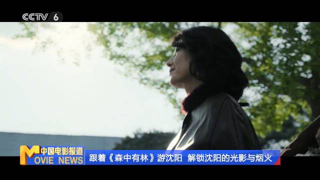 电影《森中有林》热映，于和伟高圆圆点赞沈阳取景地
