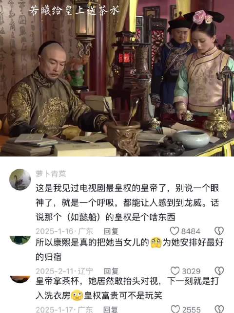 若曦送茶水，康熙以为看到了十格格 步步惊心