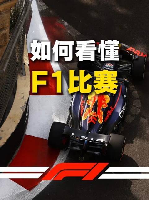 全网最透彻的F1入门手册｜从零起步，一练一停间掌握精髓