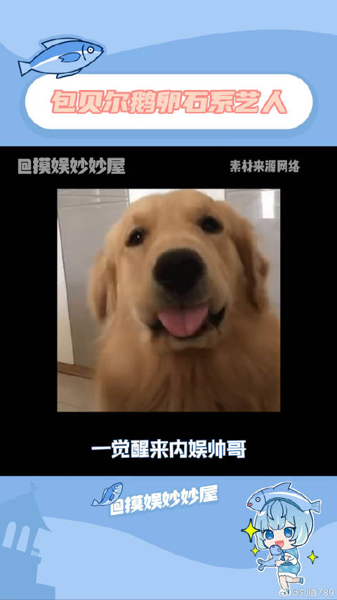 大热门来了 微博VC计划微博VC计划