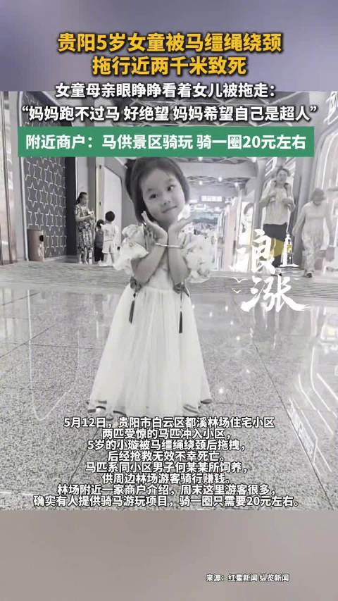 5岁女童遭马拖拽身亡母亲发文