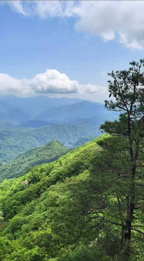 山顶远眺群山如画，山风拂过心旷神怡