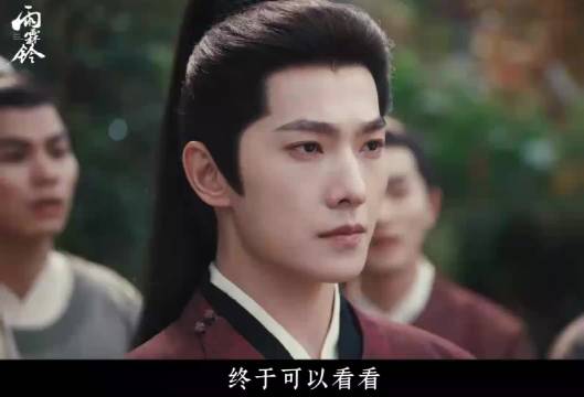 电视剧雨霖铃展昭识破司命,骆闻杰实为傀儡