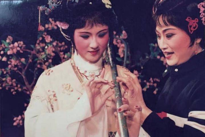 那年“天上掉下个林妹妹”,越剧艺术家单仰萍《有美人兮》出版