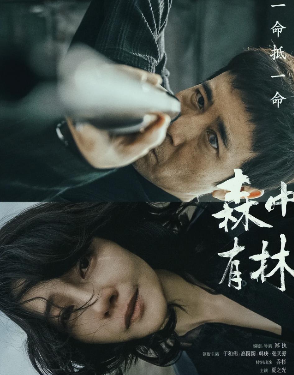 当54岁于和伟遇上46岁高圆圆，我才终于明白，为何说CP感是门玄学|cp|于和伟|爱情|终于明白|高圆圆