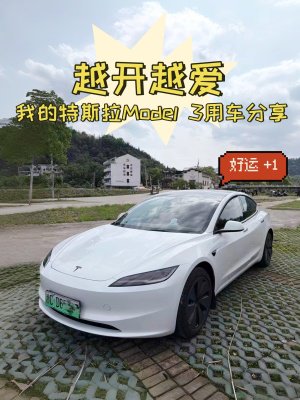 Model 3 点评