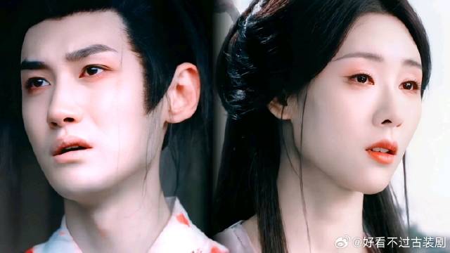 翩翩终究和哥哥一样，为救所爱之人，变成自己最恨的样子