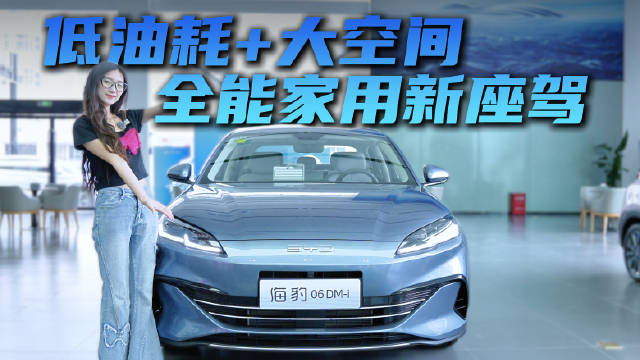 10万级插混中型轿车 空间续航皆在线 海豹06 DM-i配置要怎么选？