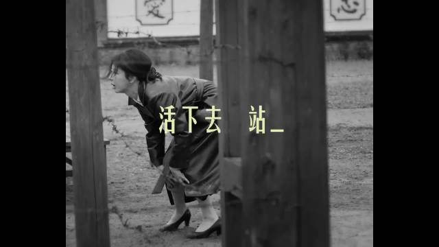 杨紫欧豪领衔《玉兰花开君再来》全阵容官宣，演绎董竹君传奇人生